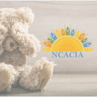 National Crimes Against Children Investigators Association logo - Similar company to Trinity Apex Solutions