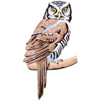 The Owl Club of Denver logo - Similar company to Crown Her Consulting