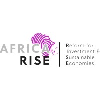 EU Africa RISE (Reform for Investment and Sustainable Economies) logo - Similar company to Kolekt