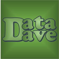 Data Dave logo - Similar company to Data Fix Solutions Ltd