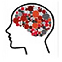 Center for Translational Cognitive Neuroscience logo - Similar company to Inclusive Computing Initiative