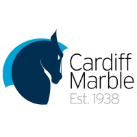 CARDIFF MARBLE & TERRAZO COMPANY LIMITED logo - Similar company to Prostone Interiors Ltd