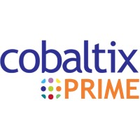 Cobaltix Prime logo - Similar company to Think Connected