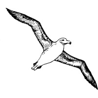 L'Albatros ASBL logo - Similar company to Administration Communale De Waterloo