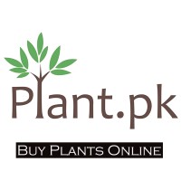 Plant.Pk Pvt Ltd logo - Similar company to Sulit Agro (Pvt) Ltd
