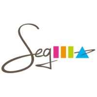 Segma Caisse Tactile logo - Similar company to Linsys Sa