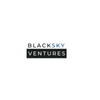 Black Sky Ventures logo - Similar company to Black Sky Media Co.