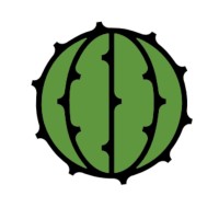 MiniCacti Studio logo - Similar company to Innovative Options Ltd