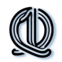 1iQ.ai logo - Similar company to Wsd