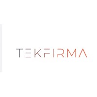 TEKFIRMA LLC logo - Similar company to Angle Security