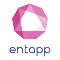 Entapp Management Consultants logo - Similar company to Usacfo