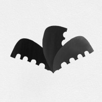 Coconut Talkies logo - Similar company to Hippiefilms