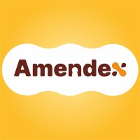 Amendex logo - Similar company to Kedge Safety Systems - Valbeveiliging