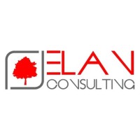 Elan Consulting logo - Similar company to Jet It Services - Managed It Services Provider In China