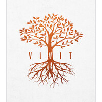 Vivit Protege logo - Similar company to Vivit