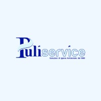 PULISERVICE SRL logo - Similar company to Altra