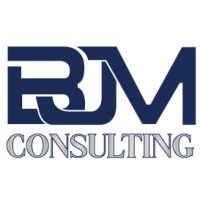 BJM Consulting LLC logo - Similar company to 29Bison
