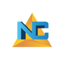 New-Consulting Praolini Srl logo - Similar company to Security Italia Srl