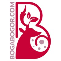 BogaBogor logo - Similar company to Fintra Digital