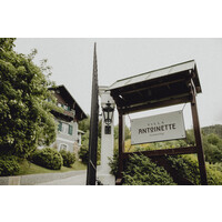Villa Antoinette - Semmering logo - Similar company to Sliderevolution