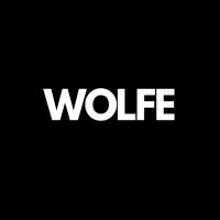 WOLFE ⎮ AI Specialist Studio logo - Similar company to Aiva & Agents