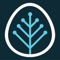 Cenozai logo - Similar company to Nila Geosolutions