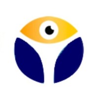 Visualise Training and Consultancy Ltd logo - Similar company to Innov Solutions - Segurança E Tecnologia