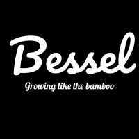 Bessel Software LLC logo - Similar company to Software Slopes