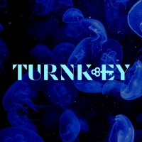 Turnkey Digital UK logo - Similar company to Cardboard Creative