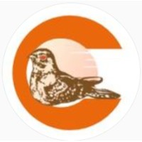 GRUPO BACURAU logo - Similar company to Escritório Particular