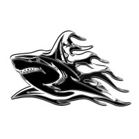 Shuttershark logo - Similar company to Protohype