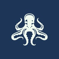 Tesote logo - Similar company to Rdva Devops Solutions As