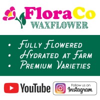 FloraCo - A California Grower in Peru logo - Similar company to The Flower Parrot