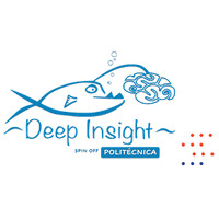 Deep Insight logo - Similar company to Dansi Software