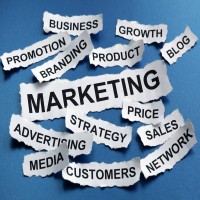 First Choice Marketing Solutions logo - Similar company to First Choice - Digital Marketing