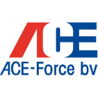 ACE Force logo - Similar company to R王 Consulting