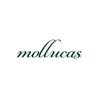 Mollucas Eyewear logo - Similar company to Zonakacamata.Com