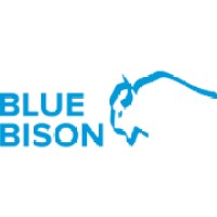 Blue Bison Software Solutions logo - Similar company to Caymedia