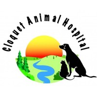 Cloquet Animal Hospital logo - Similar company to Lorenzo'S Dog Training Team, Llc