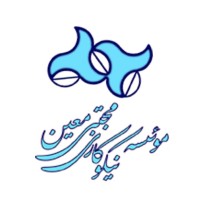 Moin Institute | موسسه نیکوکاری مجتبی معین logo - Similar company to Immispot