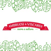 Ambruosi & Viscardi logo - Similar company to Esca S.R.L
