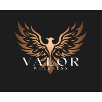 Valor Wellness logo - Similar company to Veloce Network