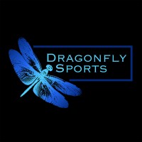 DragonFly Sports logo - Similar company to Gnsol Corp