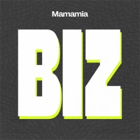 Biz logo - Similar company to Workbaby