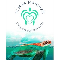 Fundación Almas Marinas logo - Similar company to Indígenas Digitales