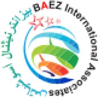 Baez International Human Resource Consultants logo - Similar company to Codler