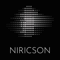 Niricson logo - Similar company to Blyncsy