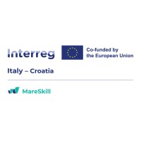 MareSkill logo - Similar company to Forge Technologies