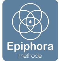 Epiphora Methode logo - Similar company to Avalanche Digital Group