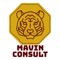 Mavin Consult logo - Similar company to Mavin Consulting Group Inc